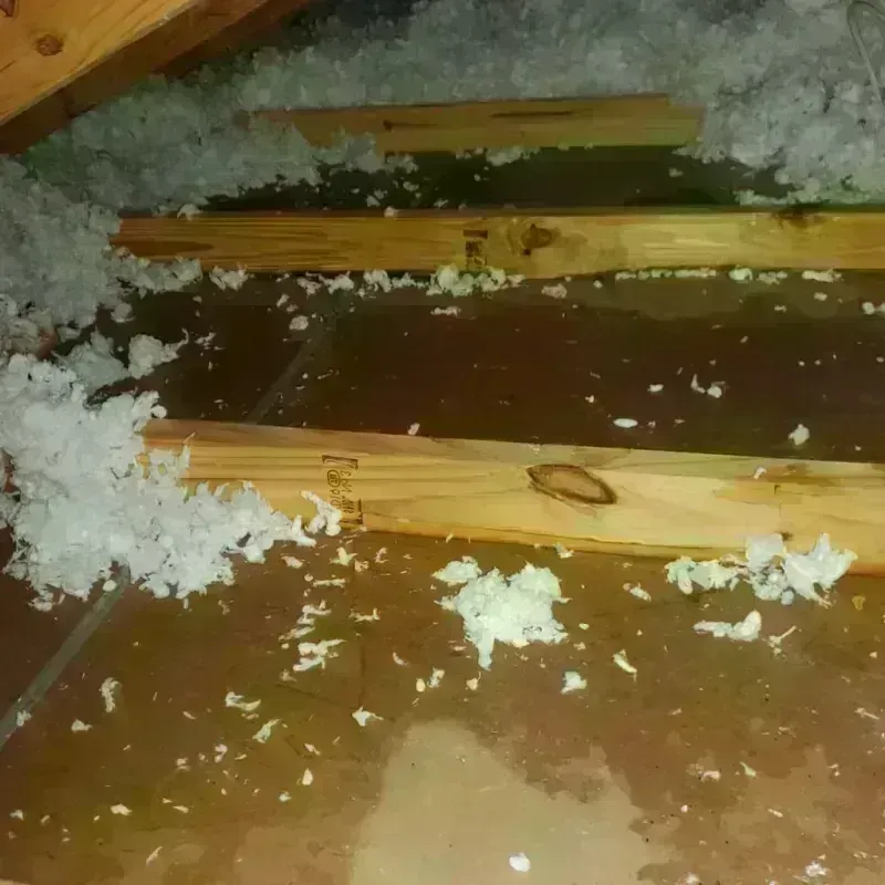 Attic Water Damage in Shadyside, OH